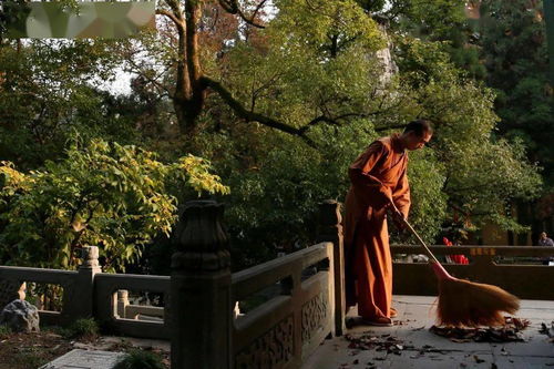 學(xué)處 你聽(tīng)過(guò)達(dá)摩祖師開(kāi)示的修行方法嗎 略辨大乘入道四行觀 細(xì)講 上