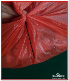 塑料袋無(wú)繩密封技巧 輕松防蟻防蟑螂