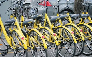 共享單車訂單潮席卷，自行車產業鏈迎來“第二春”
